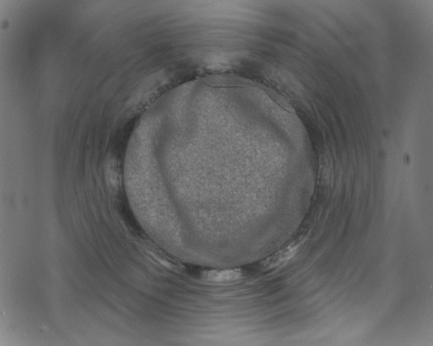 X0000073730135200608171238