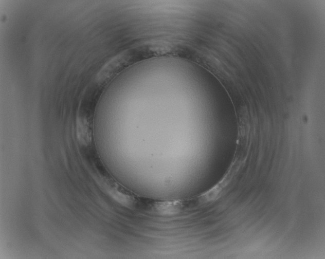 X0000073730136200608171238