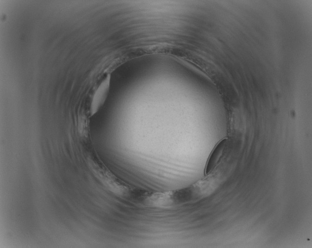 X0000073730138200608171238