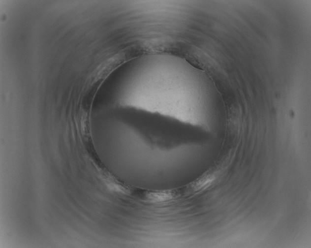 X0000073730139200608171238