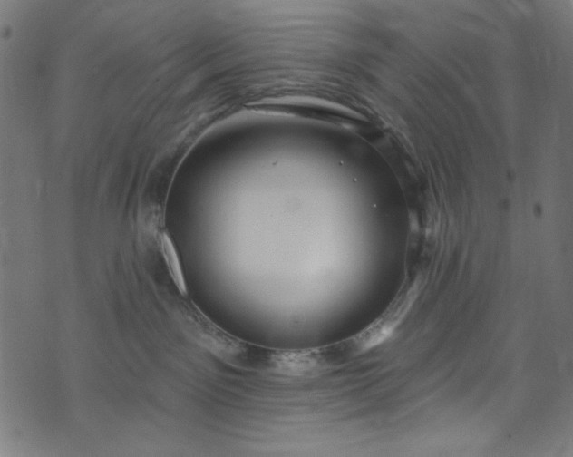 X0000073730141200608171238