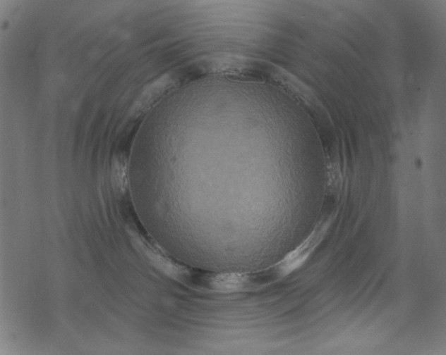 X0000073730142200608171238