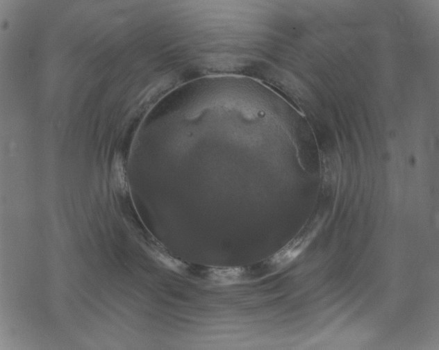 X0000073730143200608171238