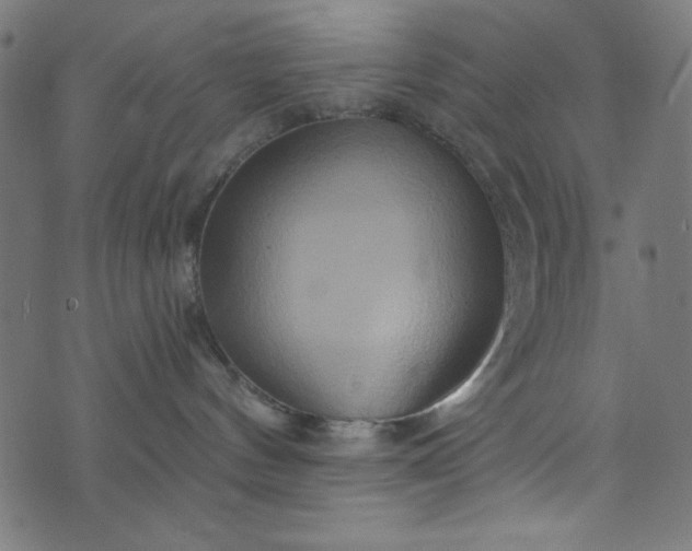 X0000073730144200608171238