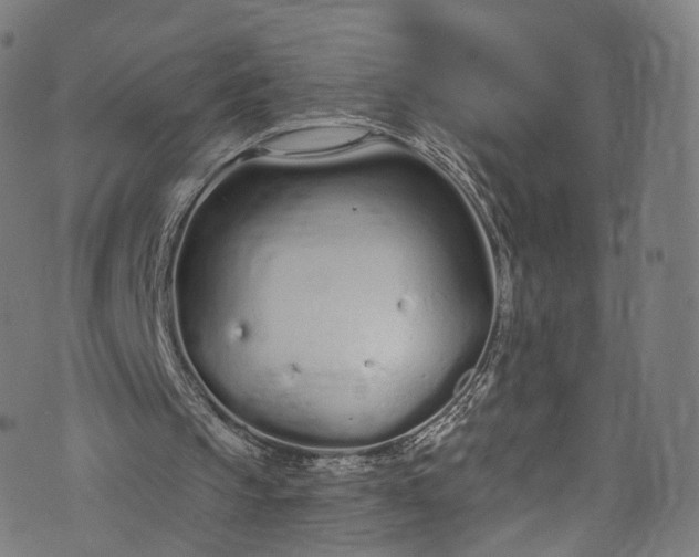 X0000073730145200608171237