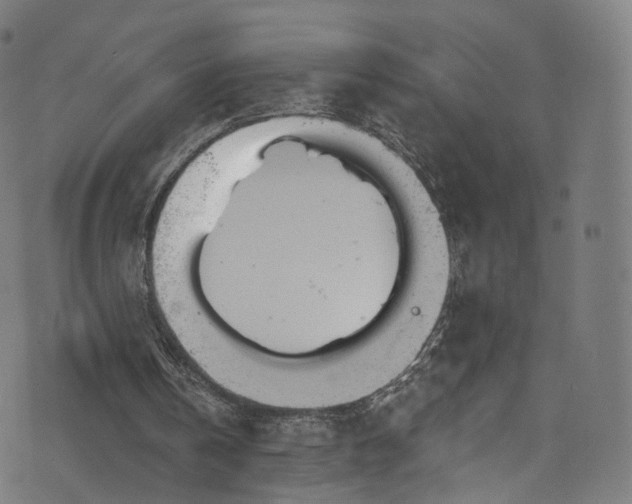 X0000073730146200608171237