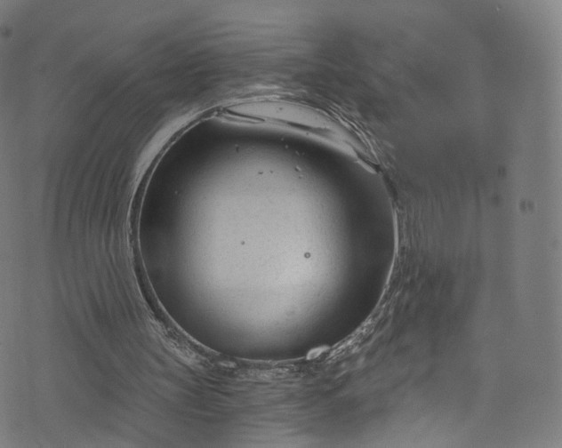 X0000073730147200608171237