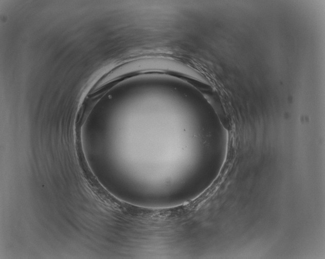 X0000073730148200608171237