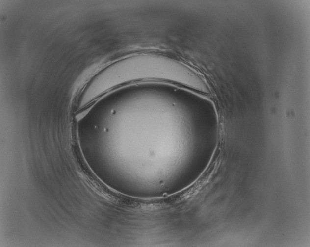 X0000073730149200608171237