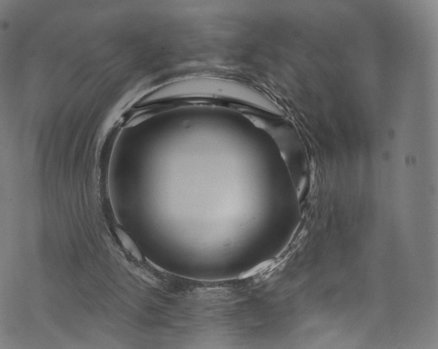 X0000073730150200608171237