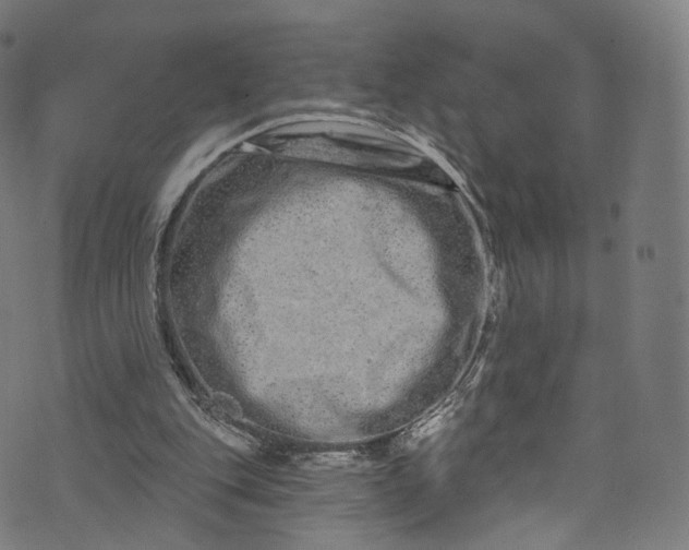 X0000073730151200608171237