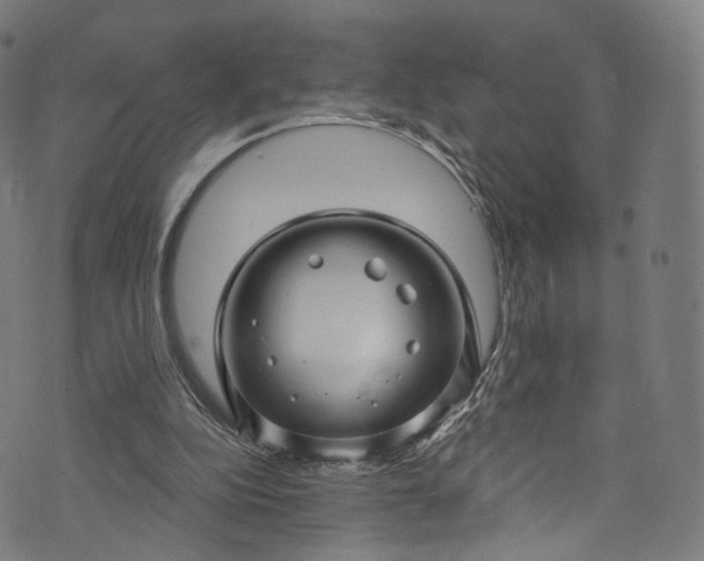 X0000073730152200608171237