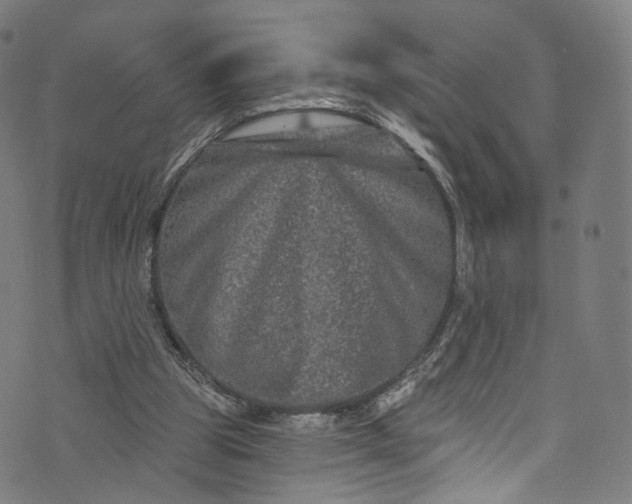 X0000073730153200608171237