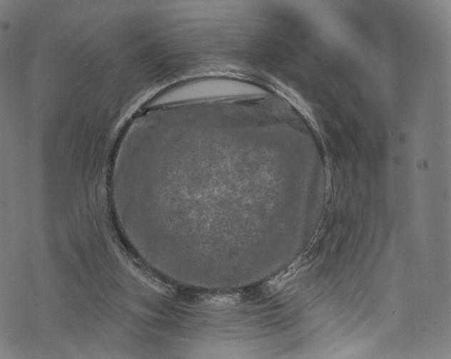 X0000073730155200608171237