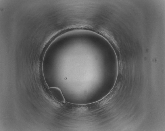 X0000073730156200608171237