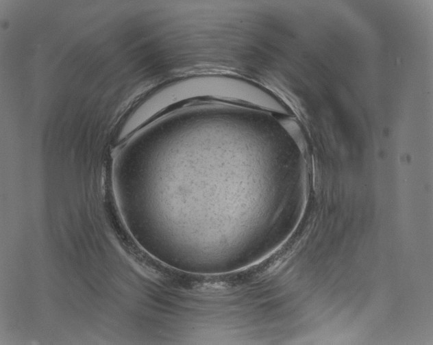 X0000073730157200608171237