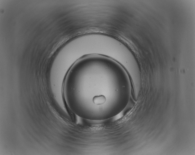 X0000073730158200608171237