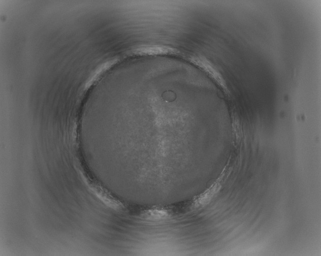 X0000073730159200608171237