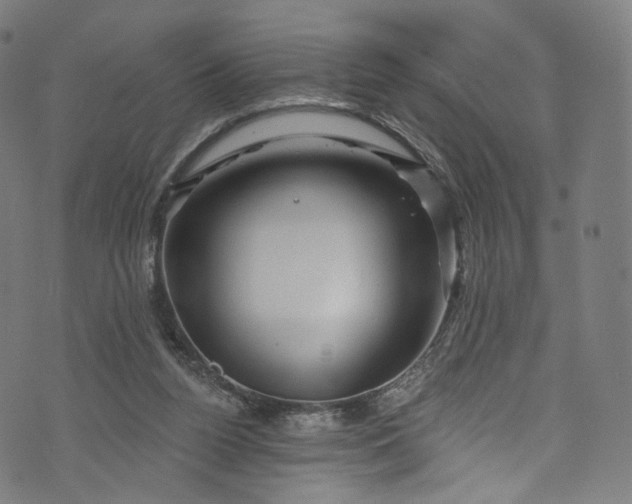 X0000073730160200608171237