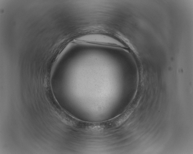 X0000073730161200608171237