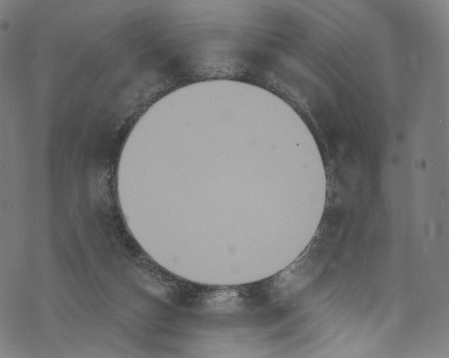 X0000073730162200608171238