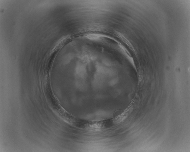 X0000073730163200608171238