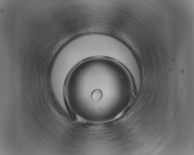 X0000073730164200608171238