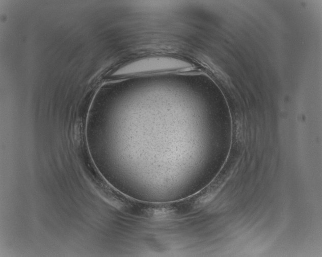 X0000073730165200608171238