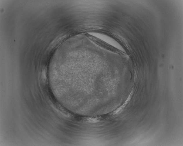 X0000073730166200608171238