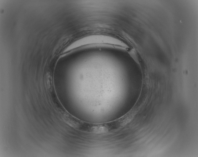 X0000073730169200608171238