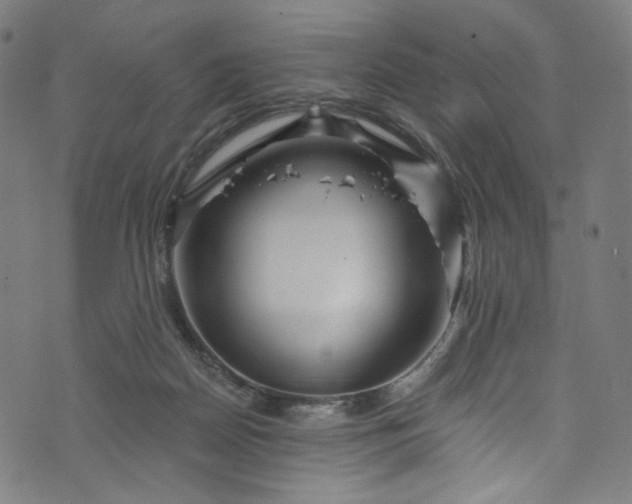 X0000073730170200608171238