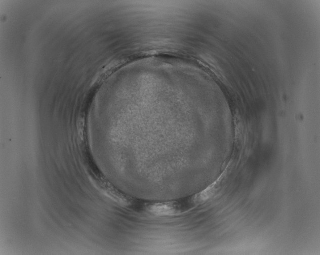 X0000073730171200608171238