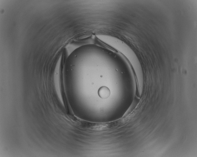 X0000073730172200608171238