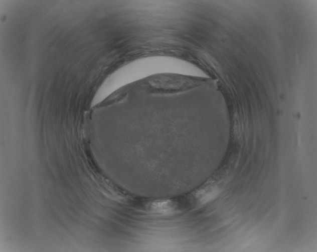 X0000073730173200608171238