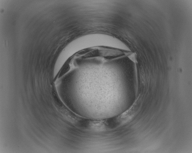 X0000073730175200608171238