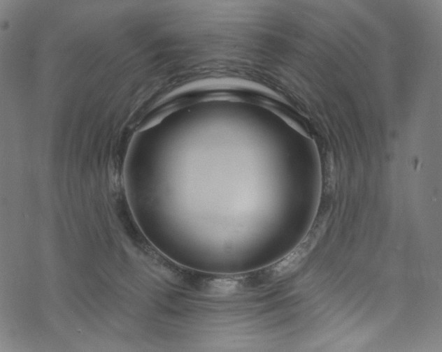 X0000073730176200608171238