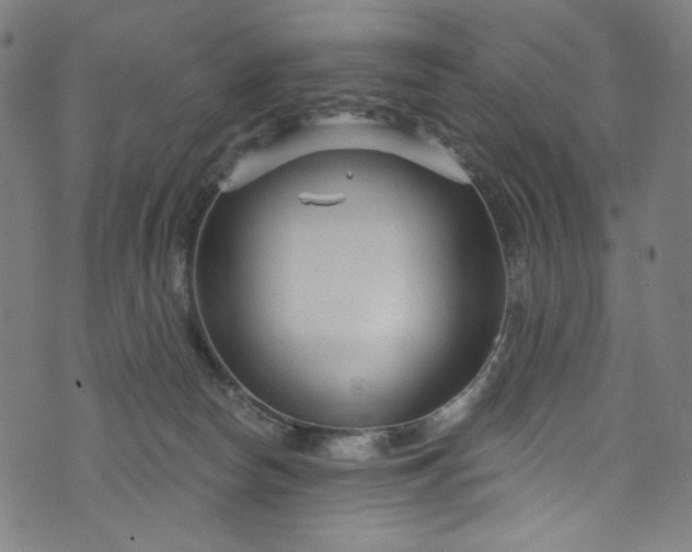 X0000073730178200608171238