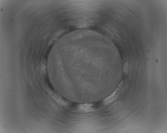 X0000073730179200608171238