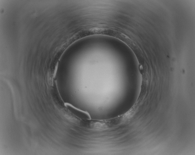 X0000073730180200608171238