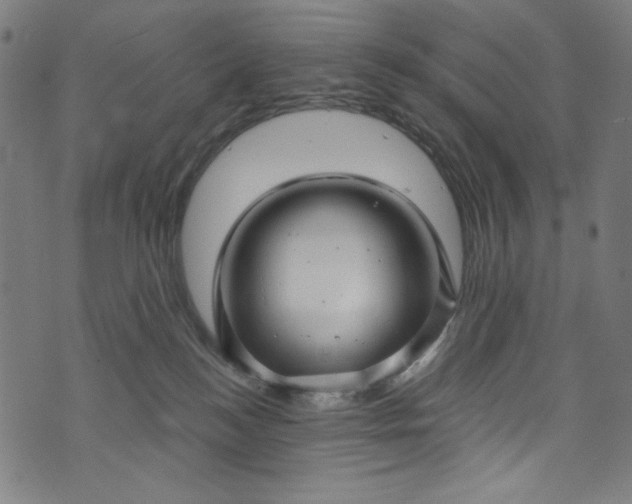 X0000073730184200608171238