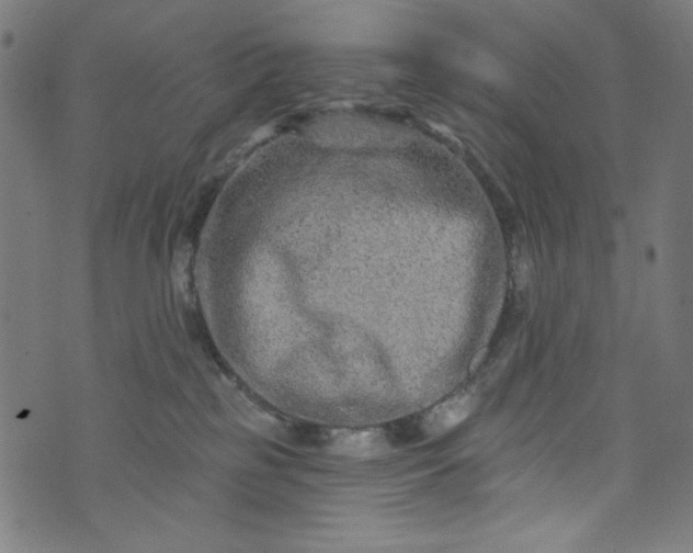 X0000073730185200608171238