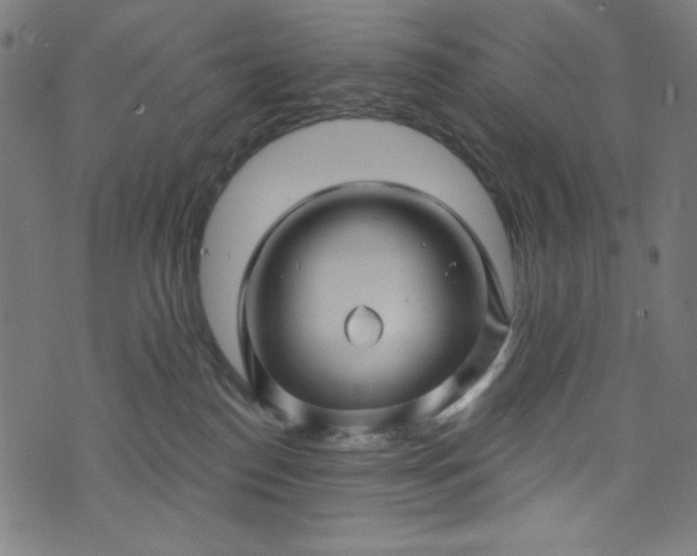 X0000073730186200608171238