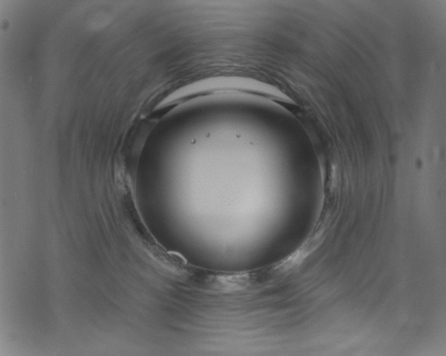 X0000073730188200608171238