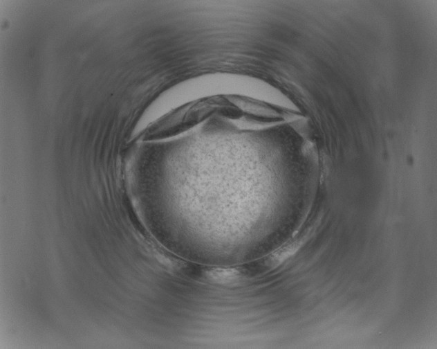 X0000073730189200608171238