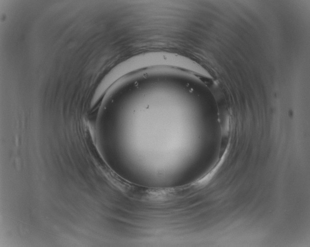 X0000073730190200608171238