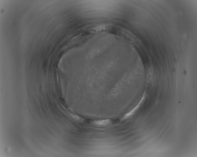 X0000073730191200608171238