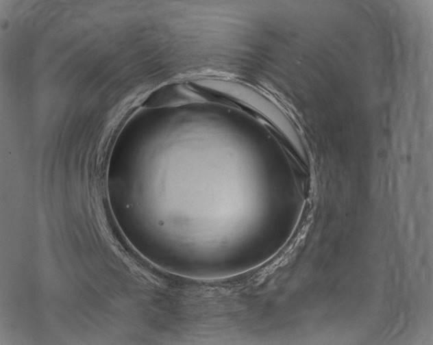 X0000073730193200608171237