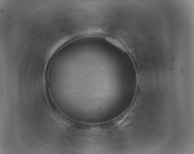 X0000073730196200608171237