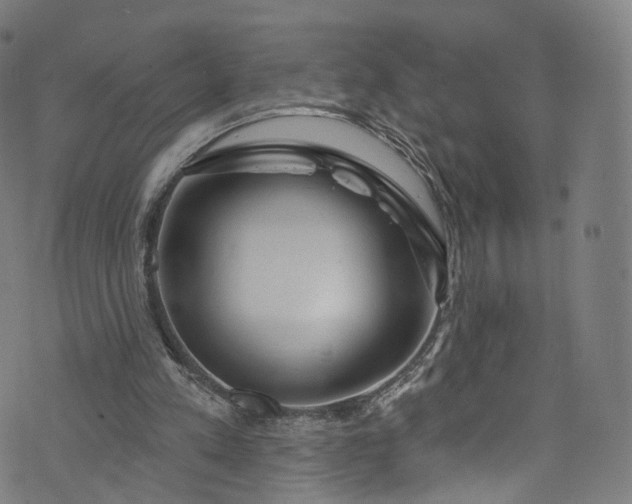 X0000073730197200608171237