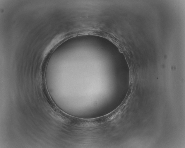 X0000073730198200608171237